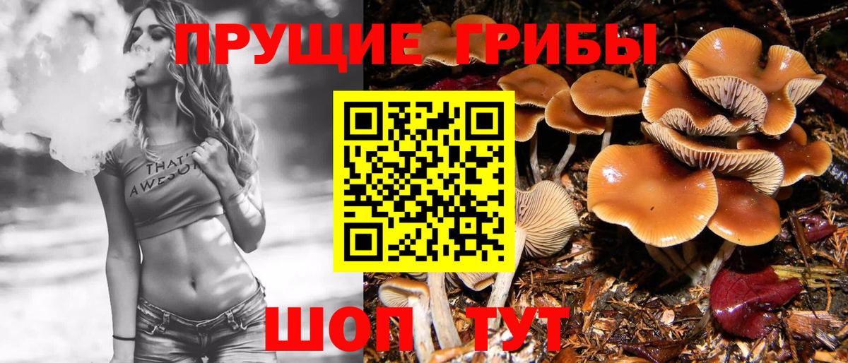 Галлюциногенные грибы ЛСД Казань