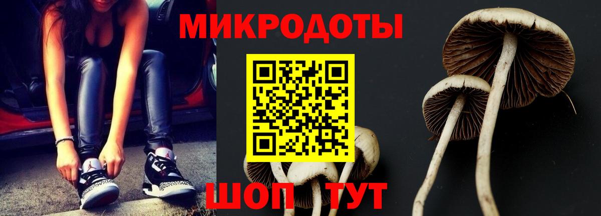 Галлюциногенные грибы прущие грибы  Вход с VPN  Казань 